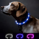 Collar LED para Mascotas
