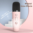 Parlante Bluetooth con Microfono P2 - Karaoke